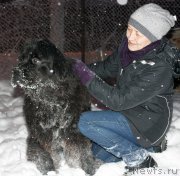 Превью фото № 199613