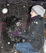 Превью фото № 199614