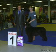 Превью фото № 199686