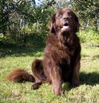 Превью фото № 19971