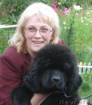 Превью фото № 19981