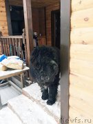 Превью фото № 199866