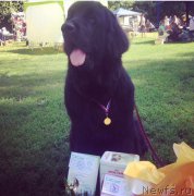 Превью фото № 199915