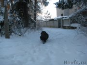 Превью фото № 199942