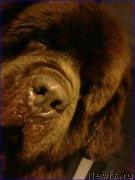 Превью фото № 199963