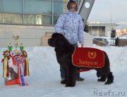 Превью фото № 199983