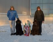 Превью фото № 199984