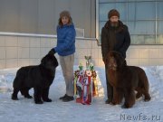 Превью фото № 199985