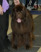 Превью фото № 199990