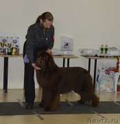 Превью фото № 199991