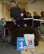 Превью фото № 199992