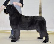 Превью фото № 200009