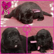 Превью фото № 200017