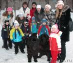 Превью фото № 20002