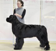 Превью фото № 200051