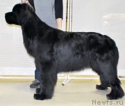 Превью фото № 200059