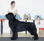 Превью фото № 200062