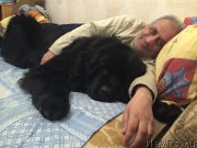 Превью фото № 200065