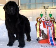 Превью фото № 200184