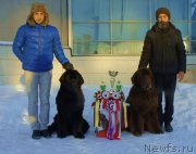 Превью фото № 200190