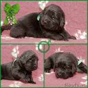 Превью фото № 200202