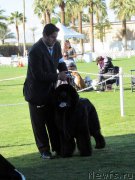 Превью фото № 200230