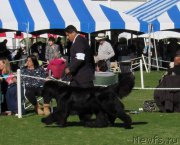 Превью фото № 200231