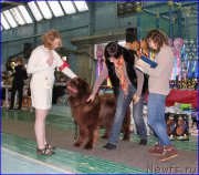 Превью фото № 200235