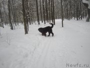 Превью фото № 200248