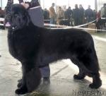 Превью фото № 20025