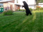 Превью фото № 200337