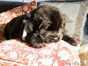 Превью фото № 200345