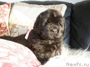 Превью фото № 200352