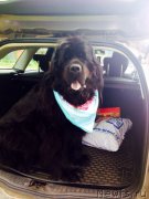 Превью фото № 200357