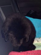 Превью фото № 200379