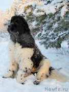 Превью фото № 200426