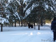 Превью фото № 200473