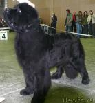 Превью фото № 20049