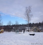 Превью фото № 200491