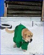 Превью фото № 200509