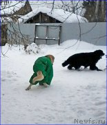 Превью фото № 200512