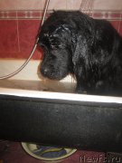 Превью фото № 200565