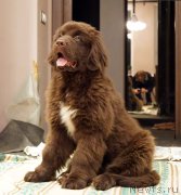 Превью фото № 200567