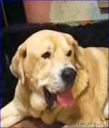 Превью фото № 200575