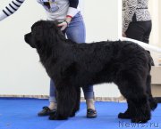 Превью фото № 200599