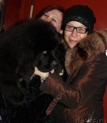 Превью фото № 200610