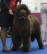 Превью фото № 200613