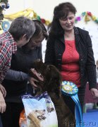 Превью фото № 200617