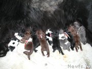 Превью фото № 200620