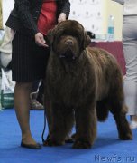 Превью фото № 200621